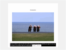 Tablet Screenshot of bikeandrace.com